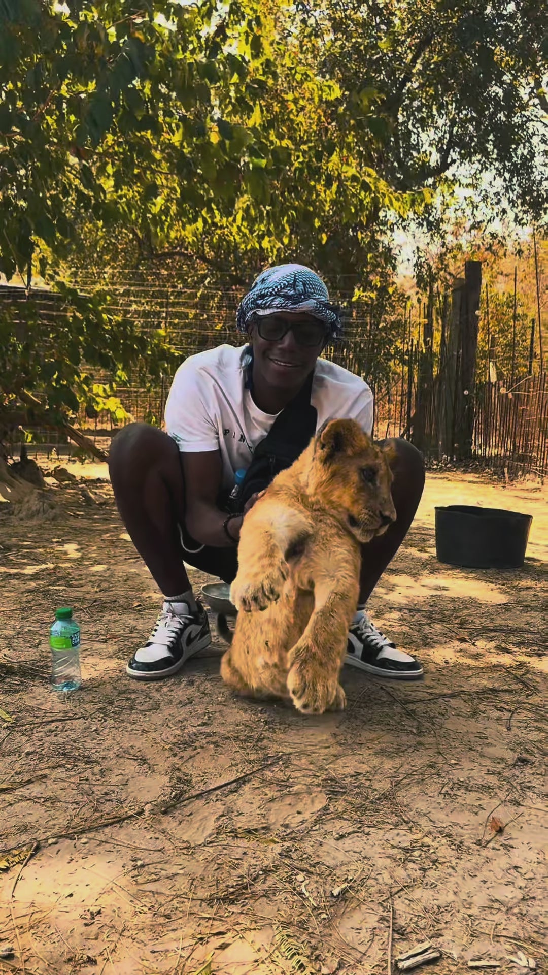 Fathala Wildlife Reserve Lion Walk & Safari Ride
